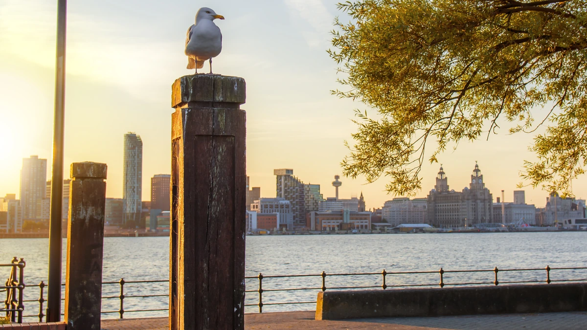 Liverpool Cruise Port: Pier Head Parking, Terminal Shifts & DIY City Walks