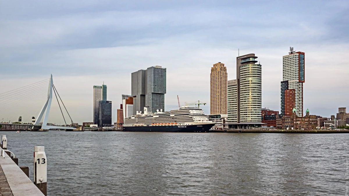 Rotterdam Cruise Port: Wilhelminakade, Metro Links & City DIY