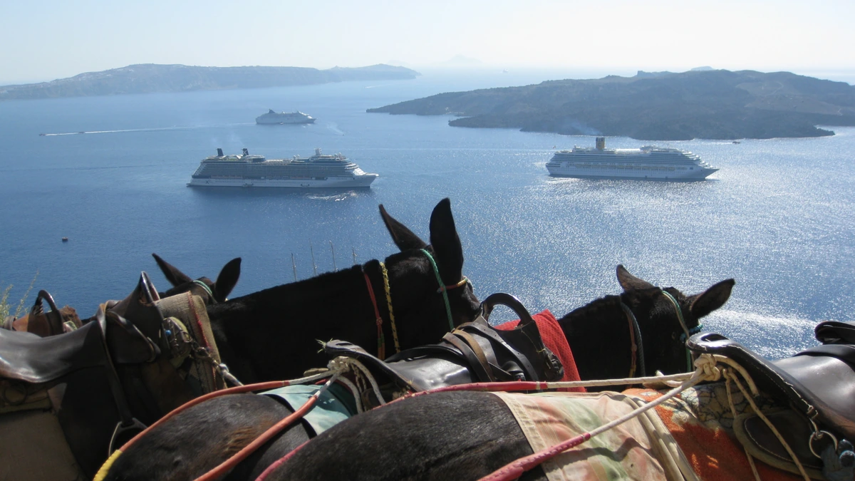 Santorini Cruise Port: Cable Car Gridlock, Donkey Paths & Oia Public Buses