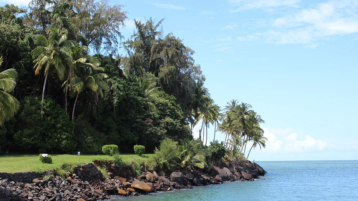 Tropical shoreline of Île Royale in the Îles du Salut, French Guiana
