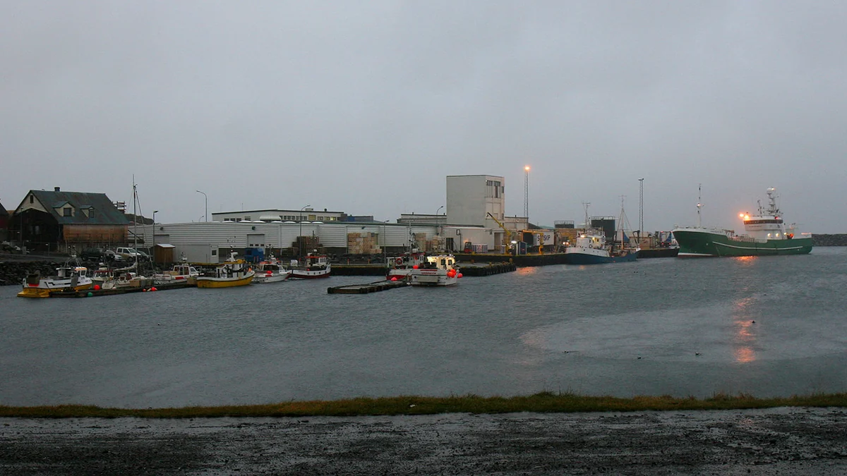 Djúpivogur Iceland Cruise Port guide image showing Djúpivogur harbour, Iceland