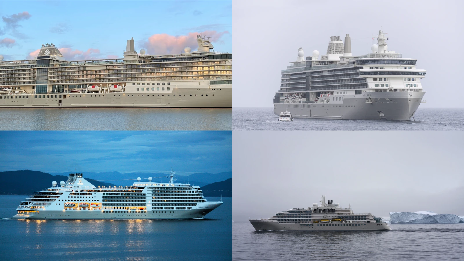 Composite of Silver Nova Silver Ray Silver Dawn and Silver Endeavour